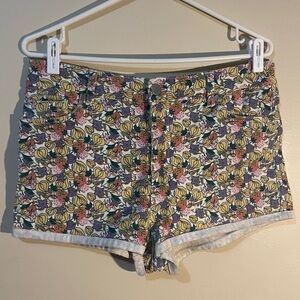 Floral Fruity Mini Jean Shorts from PJ by Peter Jensen
Size 31W